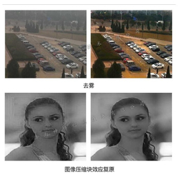 图像模糊处理系统哪里好、北京图像模糊处理系统、济南神博