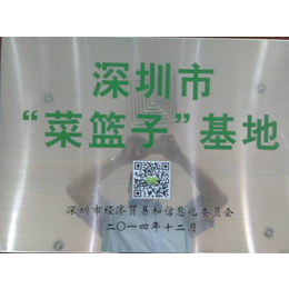 杭州绿色有机蔬菜公司|宏鸿农产品集团(在线咨询)|有机蔬菜