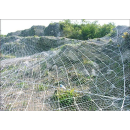 威信县边坡支护网|兴顺发筛网生产厂家|边坡支护网维修
