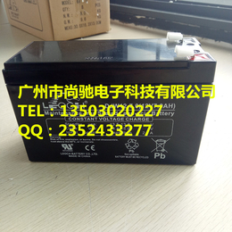 柳市理士蓄电池批发DJW12-7.0 12V7AH蓄电池