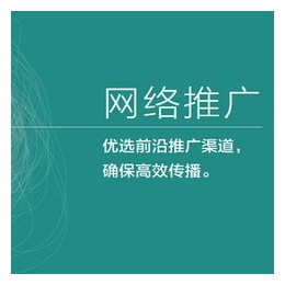 广州seo网站推广规划,推广,东联网络(查看)