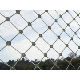 祥驰(图)、边坡防护网片、长寿区边坡防护网