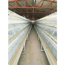 禽翔笼具厂(图)|山东蛋鸡笼加工厂|蛋鸡笼