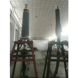 福建电缆终端、110KV、福建电缆终端(复合）