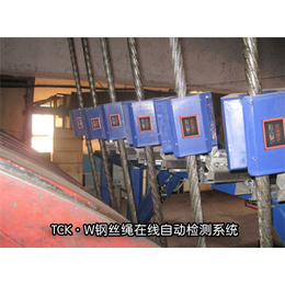 【威尔若普】(多图)|山东便携式钢丝绳检测仪公司