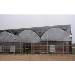 玻璃温室大棚建设|温室大棚|齐鑫温室园艺(查看)