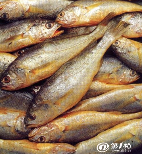 黄花鱼鱼肝图片