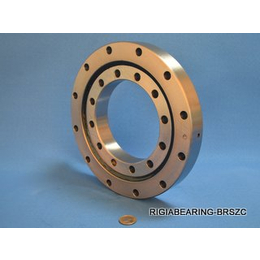 bearing(_slewing bearing_bear