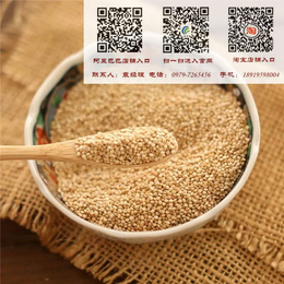 山南地区有机藜麦,【青海青藜】,西藏有机藜麦多少钱一斤
