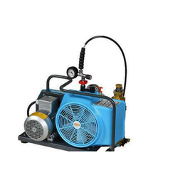 霍尼韦尔.巴固BC163099B电动空气压缩机.呼吸器充气泵缩略图