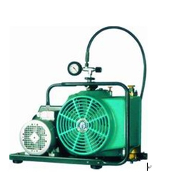 JUNIOR II-B-H空气压缩机 宝华汽油机空气充气泵