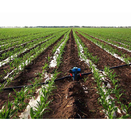 安徽安维(图)、农田灌溉设备、安徽灌溉设备