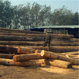 木材加工|岚山中林木材加工厂(图)|木材加工厂家