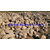 鹅卵石生产厂家|武汉鹅卵石|*石材缩略图1