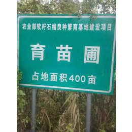 富民林果_石榴树苗