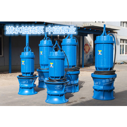 天津中蓝泵业潜水轴流泵生产厂家 现货供应