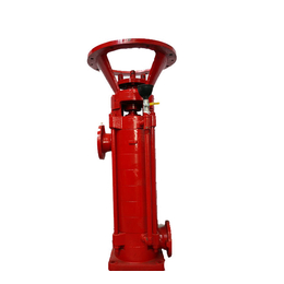 消防增压泵厂、正济泵业(在线咨询)、消防增压泵