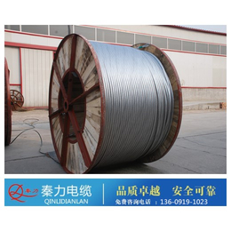 西安钢芯铝绞线|陕西电力电缆厂|钢芯铝绞线防腐