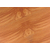 西安木地板批发代理商,巴菲克木业(在线咨询),木地板缩略图1