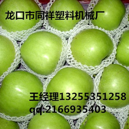 变频式水果网套机 塑料发泡网生产线 珍珠棉网套设备
