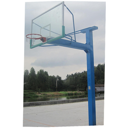 埋地式篮球架|银芝体育(在线咨询)|上饶篮球架