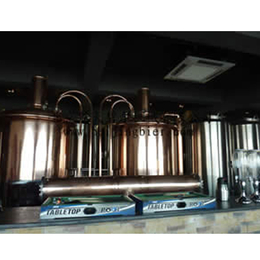 啤酒设备、航天碧尔优惠、家用自酿啤酒设备厂家