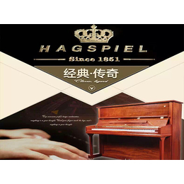 福州钢琴专卖店,天籁之音艺术培训(在线咨询),福州钢琴