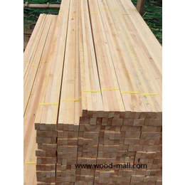 太仓桂邦木材铁杉木方质量好价格优惠缩略图