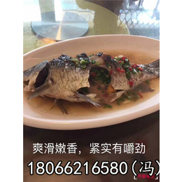 【好赛水产品】(图)、金华无公害草鱼养殖、金华无公害草鱼