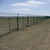 双边丝护栏网厂家 园林圈地护栏网 双边丝浸塑围栏网缩略图4