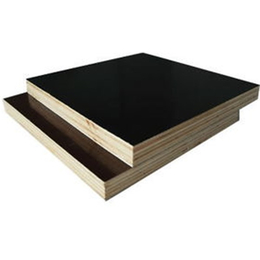 河北建筑模板|铭洋木业(在线咨询)|建筑模板