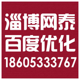 张店百度优化送网站|淄博网泰科技(在线咨询)|淄川百度优化