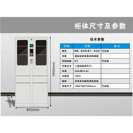 强固(在线咨询),邵原镇储物柜,304不锈钢储物柜