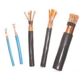 双绞线屏蔽电缆、神龙电缆(在线咨询)、山西屏蔽电缆