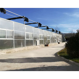 太原阳光板温室|太原益兴诚钢构工程|阳光板温室的优点