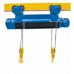 双电动葫芦、海南电动葫芦、三马起重机(查看)