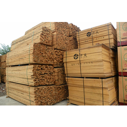 木材种类,邯郸闽都木材厂品质好,晋城木材