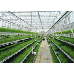 温室|鑫华生态农业|光伏温室