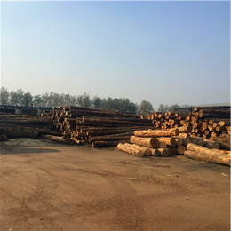 建筑小料价格|安丘建筑小料|岚山中林木材加工厂