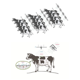 绵阳风机|新希望机械设备|温室风机