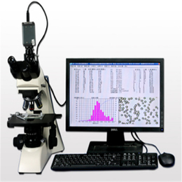 颗粒图像分析软件的价格