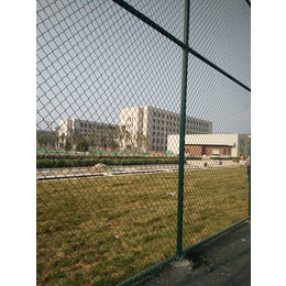 广元足球场围网,场地围网施工(在线咨询)