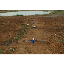 格莱欧节水设备(图)、农业滴灌系统、广西滴灌系统