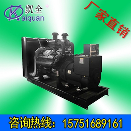 备用电源250KW上海申动柴油发电机组.上海发电机价格