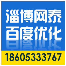 邹平怎么做百度优化|滨州阳信百度优化|淄博网泰科技(查看)