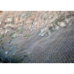 山体滑坡防护网安装|济南山体滑坡防护网|威友丝网(图)