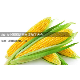 2018中国国际玉米淀粉深加工大会缩略图