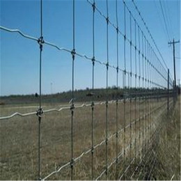 巨人供应牛栏网 养殖用网 护栏网 草原养殖网厂家 