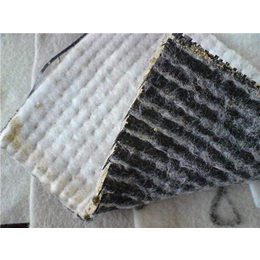 GCL膨润防水毯报价、晟瑞机毡品质*格低、GCL膨润防水毯