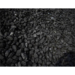 净水活性炭的价格_晨晖炭业(在线咨询)_净水活性炭
